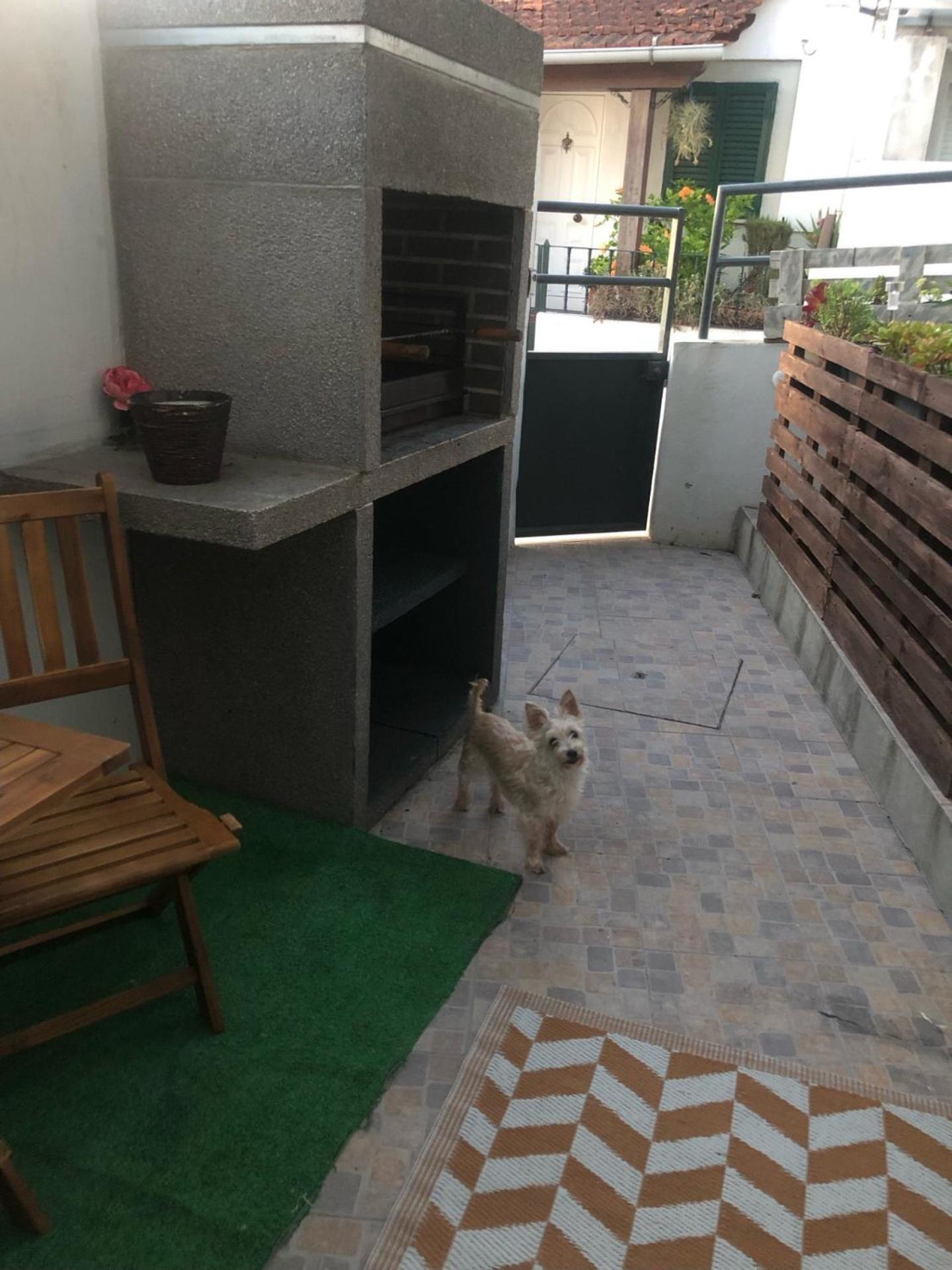 Cantinho Da Susana Coímbra Exterior foto